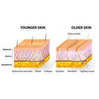 Collagen Boosting