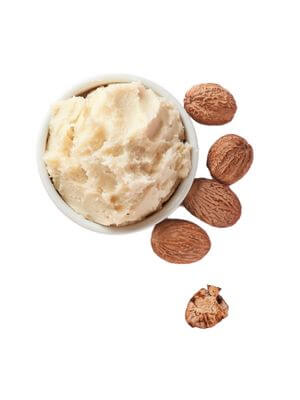 Bowl of creamy shea butter surrounded by whole and cracked shea nuts